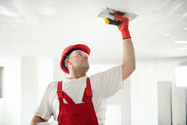 Best Ceiling Drywall Installation  in Great Notch, NJ